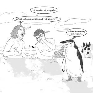 Penguin Bullying